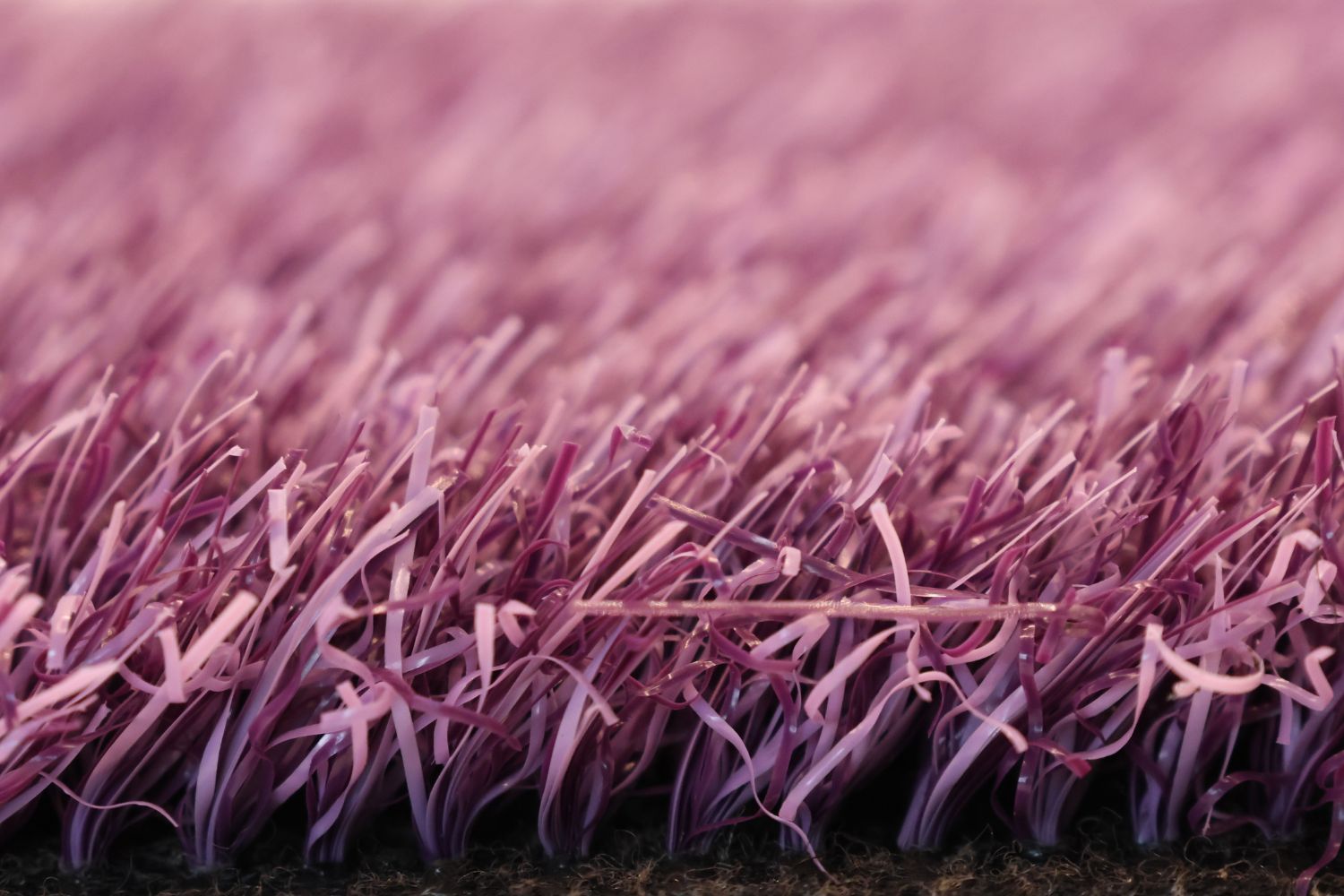 Lila kunstrasen (Traum)