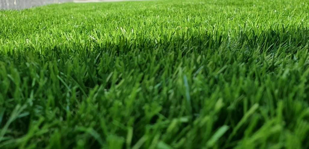 Kunstgras echter Rasen